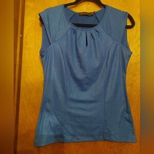The Limited Blue Cap Sleeves Blouse